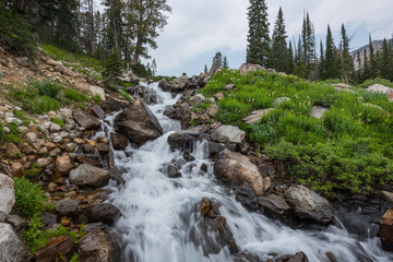 Lake Solitude Empties into Cascade Creek