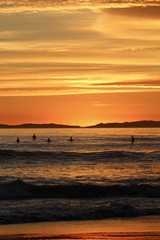 silhouettes of surfers during a california sunset