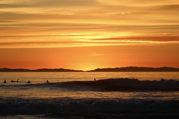 Obraz premium silhouettes of surfers during a california sunset