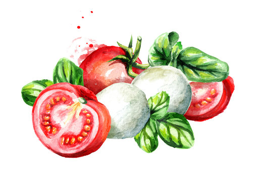 Mozzarella with Basil and tomatoes. Watercolor hand drawn illustration, isolated on white background