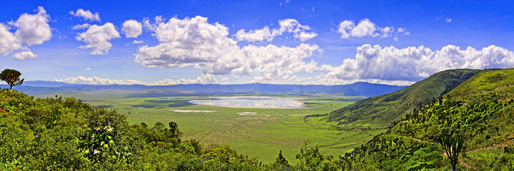 Panoramic view of Crater  Ngorongoro at the afternoon/ View from the height of the world famous reserve Ngoro ngoro where the remains of the very first person were found - obrazy, fototapety, plakaty