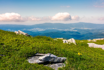 grassy meadow with boulders on hillside. beautiful landscape on fresh summer morning