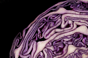 Detail of Red cabbage section