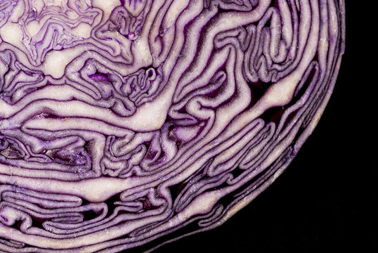 Detail of Red cabbage section