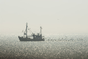 Saphir Cux 14 fishing boat in front of the coast of Helgoland