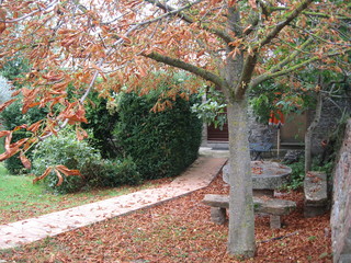 Tuscany silent autumn
