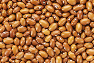 beans are scattered as a background