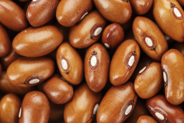 a lot of raw beans close-up