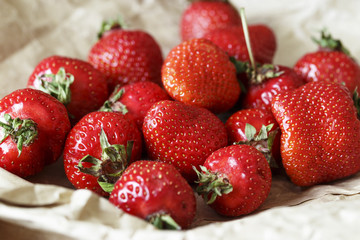 ripe strawberries ripped off