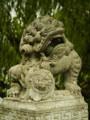 Fototapeta na wymiar Lion statue in Hangzhou. China