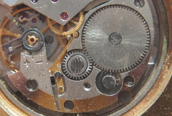Clockwork. Gears, springs and other parts of the watch are visible.