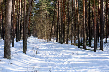 Fototapeta premium snowy winter road covered in deep snow
