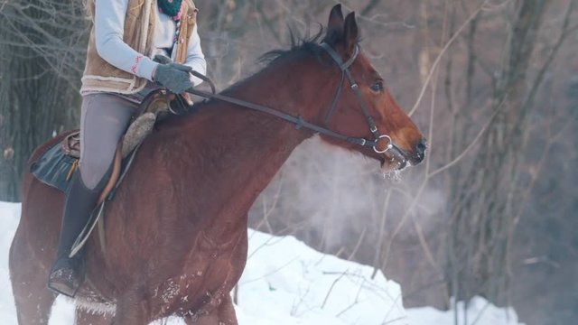 Professional beautiful longhaired woman riding a black horse through the deep snow in the forest, independent stallion prancing and snorting