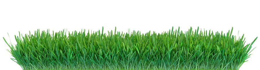 Green grass. Natural grass texture background. Meadow. Spring, summer season. Plant growth 3d rendering