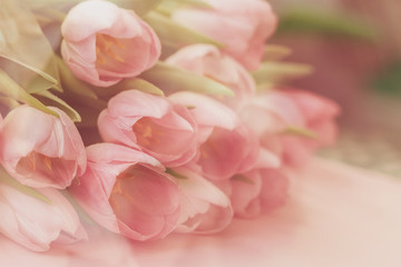 Tender soft background of pink tulips with dew. Spring flowers, abstract romantic pastel floral background