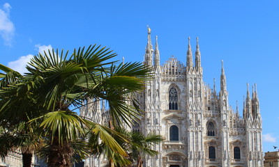 Duomo di Milano in Primavera: palme, guglie e statue