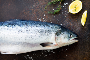 Fresh salmon and ingredients for cooking (olive oil, lemon, spices). Proper nutrition. Copy space, top view flat lay background.