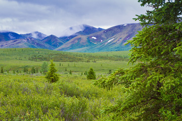 Obraz premium National Parks of Alaska