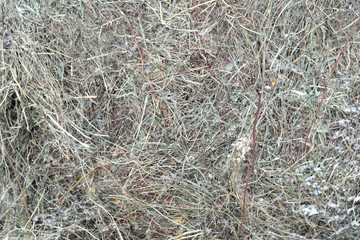 Травяной фон