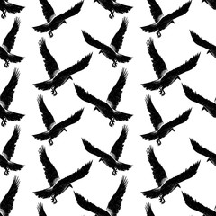 Pattern of the crows in flight