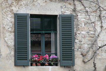 Fototapeta na wymiar window with the flowers italy