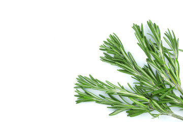 Fresh green rosemary isolated on a white background with copy space for your text. Top view. Flat lay