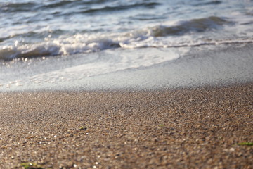 wet sand and waves at the sea cost
