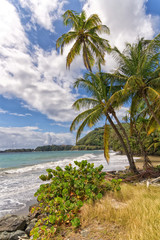 Roxborough tropical beach and sea - Tobago tropical island