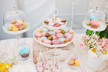 Candy bar with ceramic white plate stands with colorful tasty macaroons, pink and blue cupcake on a buffet table