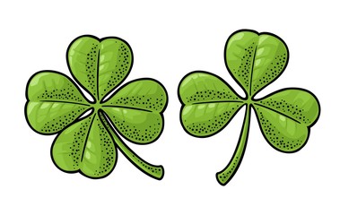 Good luck four and three leaf clover. Vintage vector engraving