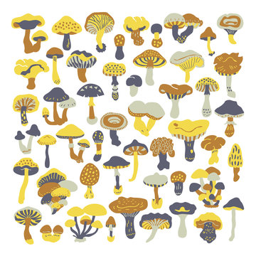 Set of vector doodles mushrooms. Icons isolated on white backgroun for recipes, design menu, packages. Vector design elements.