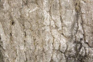 roccia 6
