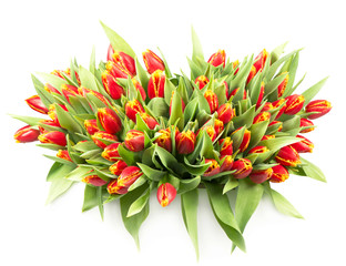 Obraz premium bunch of tulips isolated on white background