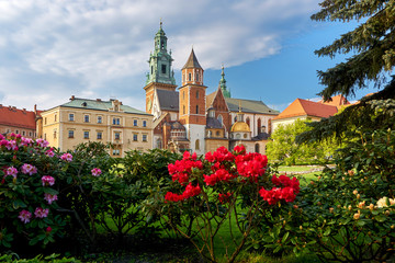 view on towers of castle wawel in poland
