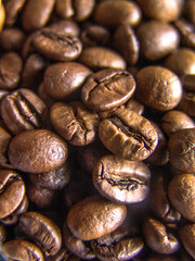 Roasted coffee beans with selective focus