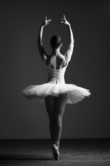 Young beautiful ballerina is posing in studio - 195910361
