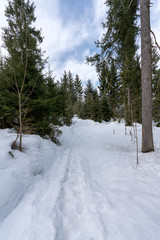 Winterwanderweg mit Altschnee im Frühjahr