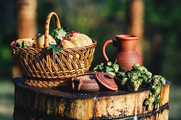 Still life on nature from a clay jug, wheat in a pot, hops on a wooden deck, baskets with a pumpkin, apples, berries