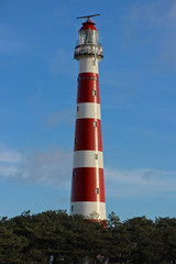 Leuchtturm in einem Wald auf Ameland 