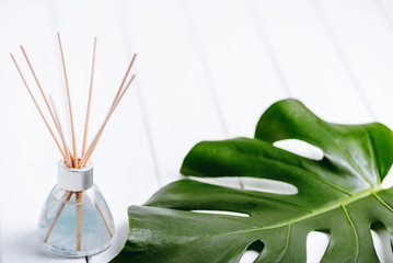 Air refresher bottle and leaf of a monstera with white background. Copyspace for your text