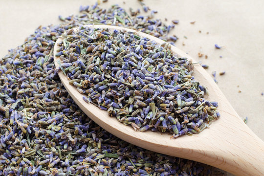 dry natural lavender flowers