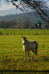 Winter in the Savoy Area in Southern France