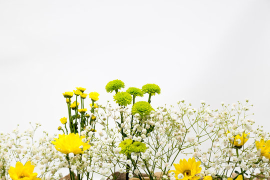 Fototapeta Easter concept flowers isolated on white background.