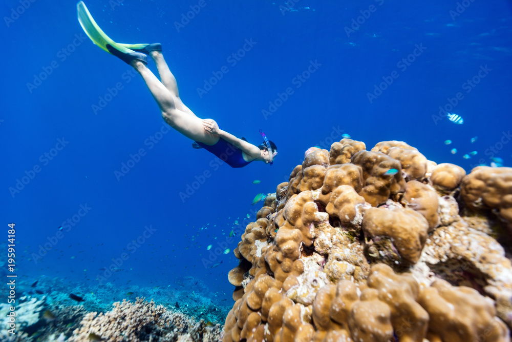 Wall mural woman snorkeling