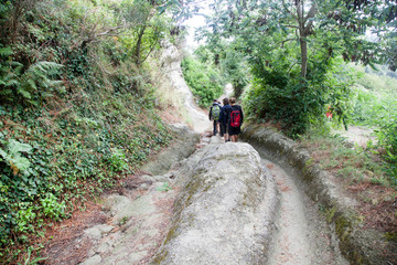 Obraz premium Italy, island of ischia monte epomeo