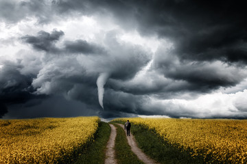 Einsamer Mensch auf dem Rapsfeld geht Richtung  Tornado