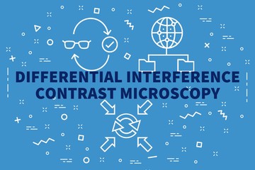 Conceptual business illustration with the words differential interference contrast microscopy