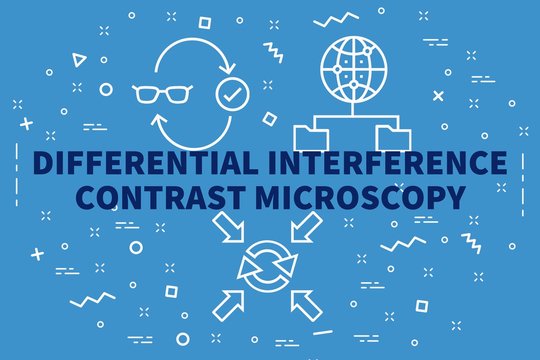 Conceptual business illustration with the words differential interference contrast microscopy
