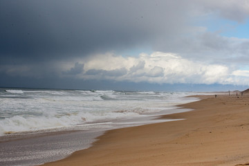 Marina State Beach
