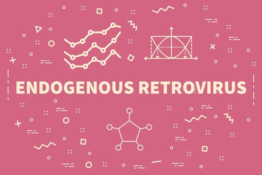 Conceptual business illustration with the words endogenous retrovirus
